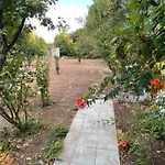 Cosy Spot Near The Only 45 Min From Athens