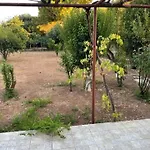Cosy Spot Near The Only 45 Min From Athens *
