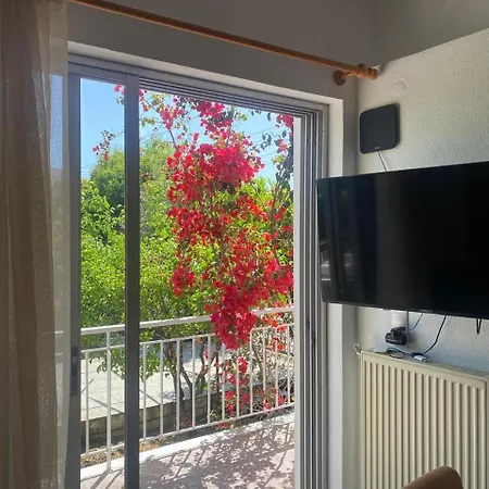 Cosy Spot Near The Only 45 Min From Athens Holiday home *