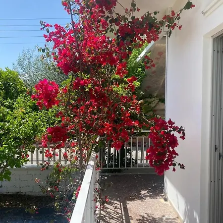 Cosy Spot Near The Only 45 Min From Athens Díleszi