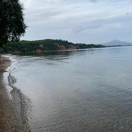 Cosy Spot Near The Only 45 Min From Athens * Dhílesi