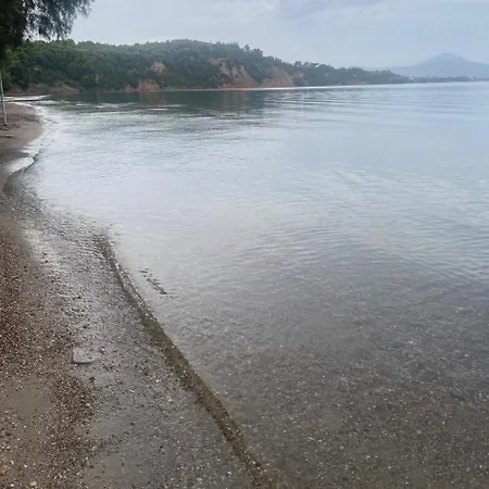 Cosy Spot Near The Only 45 Min From Athens Holiday home