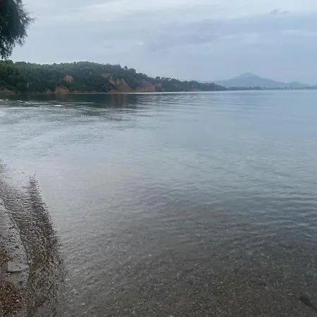 Cosy Spot Near The Only 45 Min From Athens Holiday home Dhilesi