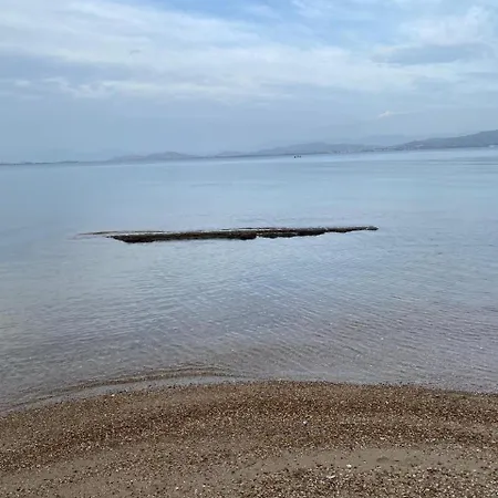 Cosy Spot Near The Only 45 Min From Athens Δήλεσι