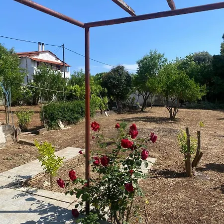 Holiday home Cosy Spot Near The Only 45 Min From Athens Dhilesi