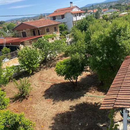 Cosy Spot Near The Only 45 Min From Athens Holiday home *
