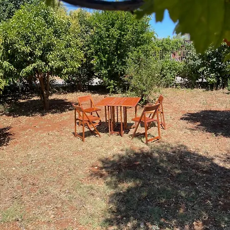 Cosy Spot Near The Only 45 Min From Athens Díleszi