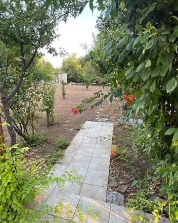 Holiday home Cosy Spot Near The Only 45 Min From Athens *