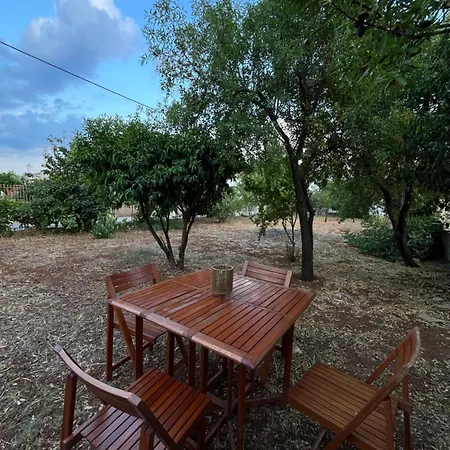 Cosy Spot Near The Only 45 Min From Athens